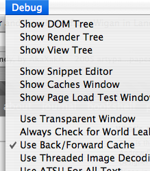 screengrab of Safari Debug Menu